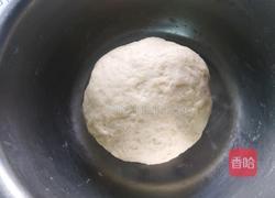 椰蓉牛角包的做法图解3