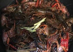 冰镇龙虾的做法图解2