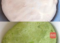 虫儿飞的做法图解2