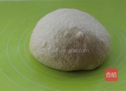 全麦吐司的做法图解10