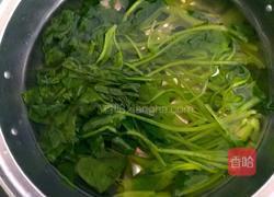 麻酱拌菠菜的做法图解4