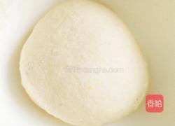 环球豆沙包的做法图解1