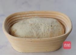 免揉乡村欧包的做法图解15