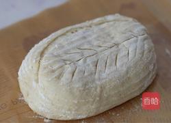免揉乡村欧包的做法图解16