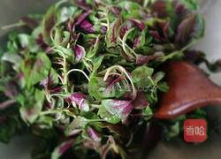 蒜香红苋菜的做法图解3