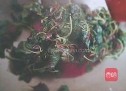 蒜香红苋菜的做法图解4