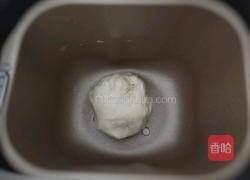 奥尔良鸡肉披萨的做法图解2