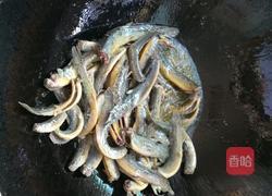 香辣泥鳅的做法图解4