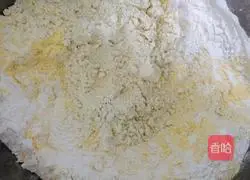 Illustration of how to make vegetable dumplings 1