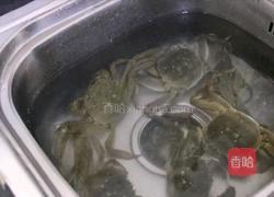 清蒸大闸蟹的做法图解2