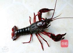 香辣龙虾的做法图解2