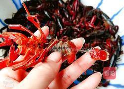 香辣龙虾的做法图解8