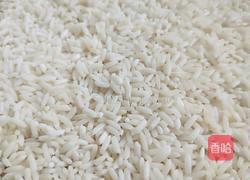 蜜枣粽的做法图解2