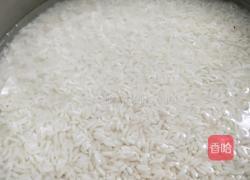 蜜枣粽的做法图解3