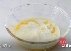 蜜瓜慕斯的做法图解9