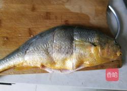 健脾胃鱼汤的做法图解2