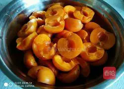 Apricot dew ecstasy juice recipe 1