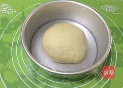 基础面包+咸味吐司的做法图解9