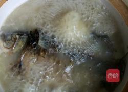 鲫鱼汤的做法图解6