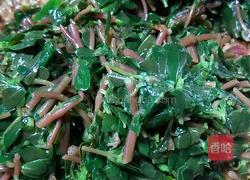 马蜂菜肉包子的做法图解6