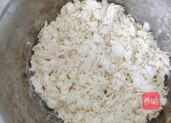 生煎包(素)的做法图解2