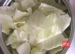 莲白回锅的做法图解2