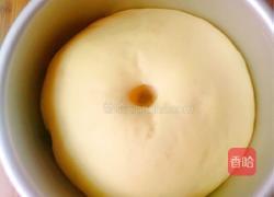 金钱小面包(玉米油版)的做法图解7