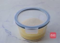 椰芒冰淇淋的做法图解4