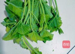 南瓜尖汤的做法图解1