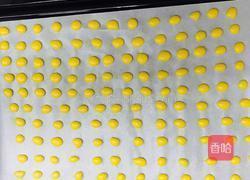 蛋黄溶豆入口即化的做法图解6