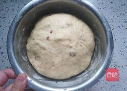 牛奶蔓越莓面包的做法图解7