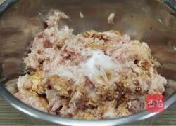 家庭版自制猪肉脯的做法图解4