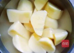 麻辣大盘鸡的做法图解4