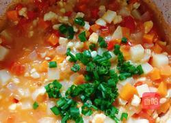 番茄鸡肉芝士煸饭的做法图解14