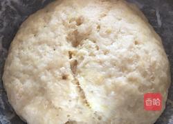 辫子面包(手揉面)的做法图解3