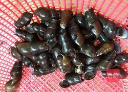 糟粕醋焖长筒螺的做法图解2