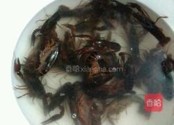 啤酒小龙虾的做法图解1