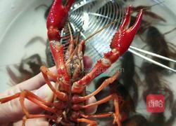 啤酒小龙虾的做法图解4