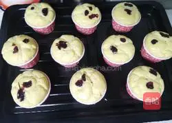 Coconut Cup Cake Recipe Illustration 15