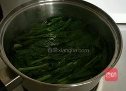 萝卜缨子凉拌菜的做法图解5