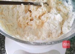 黑芝麻蝴蝶馒头的做法图解4