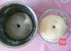 黑芝麻蝴蝶馒头的做法图解6
