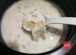 牛奶炖桃胶的做法图解7