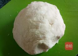 白菜猪肉小馅饼的做法图解6