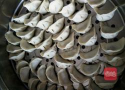 茴香猪肉馅水饺的做法图解6