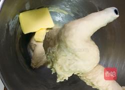 土豆泥虾球奶酪包的做法图解11