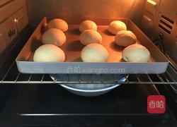 梅子餐包的做法图解15