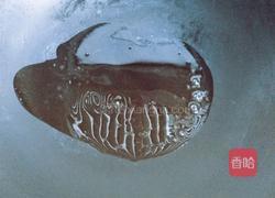 西红柿木耳炒鸡蛋的做法图解7