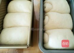 全麦果干吐司的做法图解15