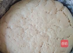油葱饼和发面饼的做法图解2